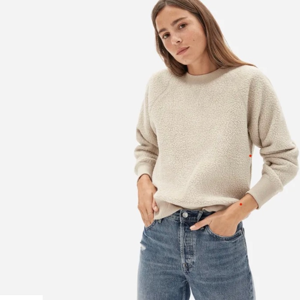Everlane ReNew Fleece Raglan Sweatshirt in Oat